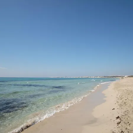 Lido Ariosto *